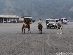 Maaf, Gunung Bromo Ditutup 25-26 April