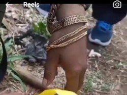 Perhiasan Emas di Hutan Mulo Gunungkidul Bikin Geger, Polisi: Palsu
