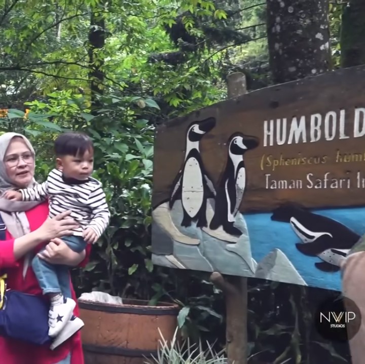 <p>Selama perjalanan, Issa sukses membuat netizen gemas. Ini karena bocah kelahiran 7 April 2022 ini tampak sangat excited. (Foto: YouTube Nikita Willy Official)<br /><br /><br /></p>