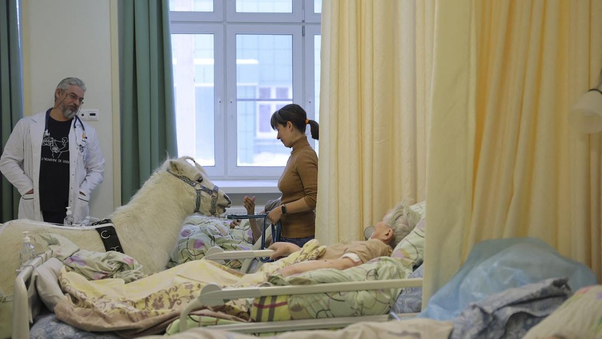 FOTO: Terapi Kuda Poni bagi Pasien Rumah Sakit di Moskow