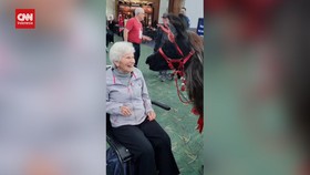 VIDEO: Aksi Llama Hilangkan Stress Turis di Bandara AS