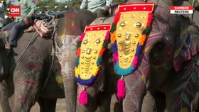 VIDEO: Tertunda Akibat Covid, Festival Gajah di Nepal Kembali Digelar