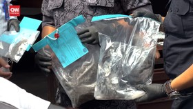 VIDEO: Pengedar Ganja dan Tembakau Gorila Ditangkap di Semarang