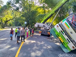 Truk Kontainer Bawa Tuna Terperosok di Jalan Denpasar-Gilimanuk
