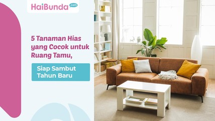 Detik Network