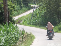 Mulusnya Jalan Randublatung-Getas di Blora, Pengendara: Serasa di Tol