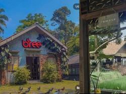 5 Kafe Nuansa Pedesaan di Bogor yang Asyik untuk Santai