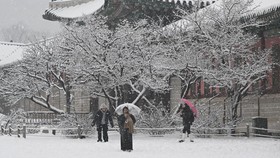FOTO: Ketika Korea Selatan Disergap Salju Tebal
