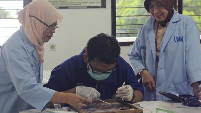 Begini Cara Cek Diabetes Tipe 1 pada Orang yang Sehat