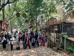 Ribuan Wisatawan Padati Hutan Pinus Pijar Park Kudus