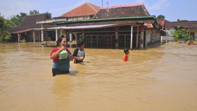 FOTO: Belasan Desa di Grobogan Terendam Banjir Luapan Sungai Tuntang