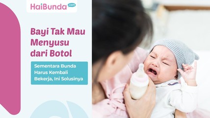 Detik Network