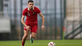 Justin Hubner: Dari Liga Inggris ke Jepang, Turun Kasta?