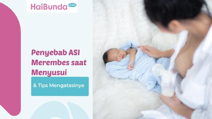 Detik Network