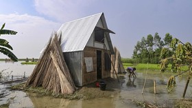 FOTO: Khudi Bari, Rumah Mungil Tahan Banjir di Bangladesh