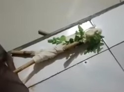Geger Pocong Mini Bikin Resah Warga Pasuruan, Polisi Duga Itu Prank