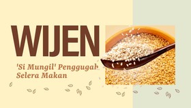 INFOGRAFIS: Wijen, 'Si Mungil' Penggugah Selera Makan