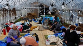 Jepang Diguncang 1.000 Gempa dalam 2 pekan, Warga Diungsikan