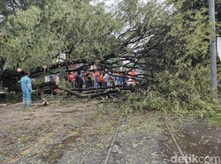Kereta Batara Kresna Terhalang Pohon Tumbang di Depan PGS Solo