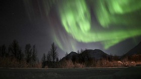 FOTO: Rusa-Rusa Kutub yang Bermandikan Cahaya Utara di Norwegia