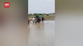 VIDEO: Viral Warga Gotong Jenazah ke TPU Lewati Sawah Berlumpur
