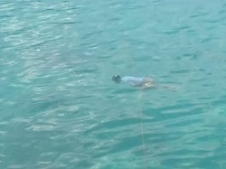 Terungkap, Identitas Mayat Terapung di Pelabuhan Tenau Kupang