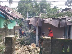 BPBD Palopo Catat 81 Bencana hingga Juli, Didominasi Pohon Tumbang-Banjir