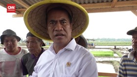 VIDEO: Mentan Amran Sebut Jokowi Beri Tambahan Pupuk Senilai Rp14 T