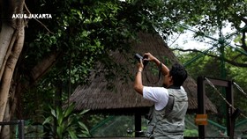 Kamera Ady dan Ketulusan Pada Burung-burung Jakarta