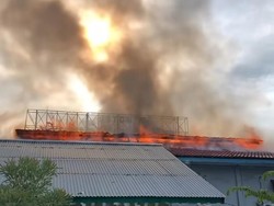Pria di Jayapura Bakar Motor Sendiri Berujung Hanguskan 11 Rumah