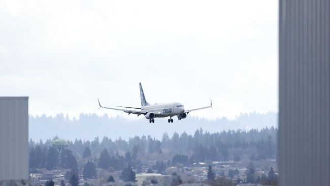 Pesawat Boeing 737 Kembali Menyampaikan Berita Buruk, Regulator AS Berikan Pembaruan Terbaru