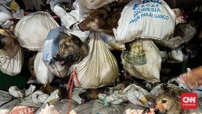 Kapolres Semarang mengatakan lima tersangka itu salah satunya merupakan pemesan yang akan menjual anjing-anjing untuk konsumsi.