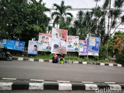 Kumuh! Ratusan Baliho Caleg Gresik Dipasang Semrawut-Dipaku di Pohon