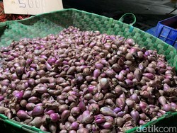 Harga Bawang di Sumut Tembus Rp 55 Ribu, Ini Kata Disperindag Sumut