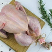 3 Cara Menyimpan Daging Ayam di Kulkas Agar Awet Hingga Berbulan-bulan, Catat!