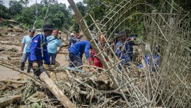 BNPB Sebut Ada 17 Bencana Terjadi Setiap Hari di 2023