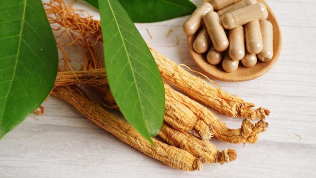 Tak hanya menyehatkan badan, ternyata ada tanaman herbal untuk meningkatkan kecerdasan otak. Apa saja?