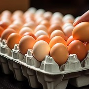 4 Cara Mudah Bedakan Telur Segar dan Telur Busuk, Catat!