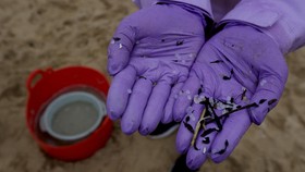 FOTO: Ramai-ramai Menyaring Butiran Plastik di Pesisir Spanyol