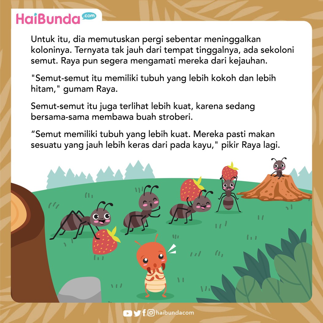 Di sebuah hutan ada seekor rayap yang tidak puas dengan kemampuannya menggigit kayu&comma; sampai suatu ketika ia bertemu dengan gerombolan semut&period; Simak selengkapnya&excl;