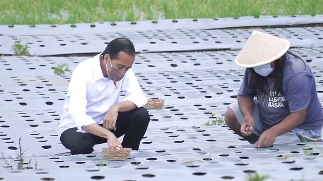 Mengenai Penilaian Food Estate, Tim Prabowo-Gibran Halang Pembicaraan: Katakan Fakta!