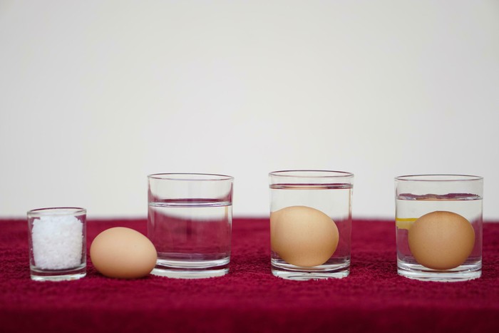 4 Cara Mudah Bedakan Telur Segar dan Telur Busuk