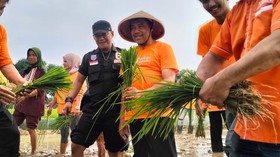 Partai Buruh Tegaskan Kedaulatan Pangan Bukan Sekadar Wacana