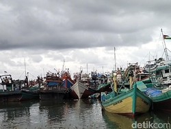 Tangkapan Nelayan Melimpah, Harga Tongkol di Banda Aceh Rp 3 Ribu/Kg