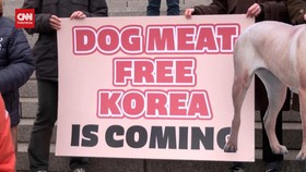 VIDEO: Korea Selatan Resmi Larang Jual dan Konsumsi Daging Anjing