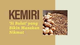INFOGRAFIS: Kemiri, 'Si Bulat' yang Bikin Masakan Nikmat