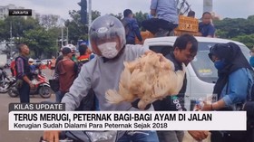 VIDEO: Terus Merugi, Peternak Bagi-Bagi Ayam di Jalan
