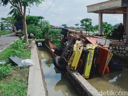 Demi Hindari Kucing Nyeberang, Truk Beras Nyebur Sawah di Klaten