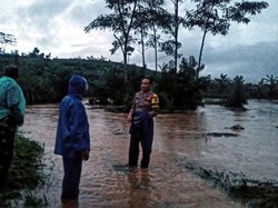 50 Hektare Sawah di Sukabumi Terendam Banjir