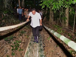 Pj Gubernur Sulsel Tempuh Medan Terjal demi Masifkan Budi Daya Pisang